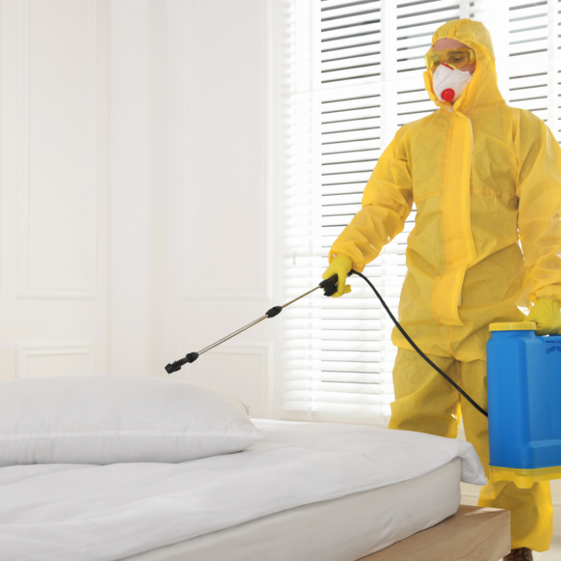Pest Control Noida 