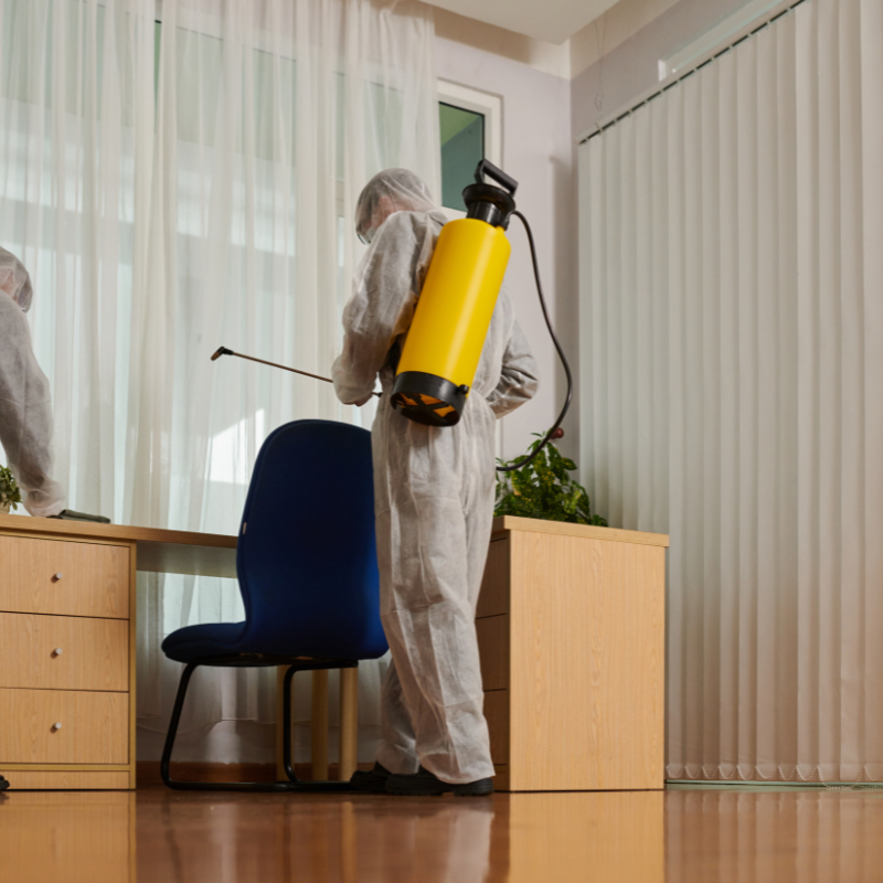 Same Day Pest Control Noida 